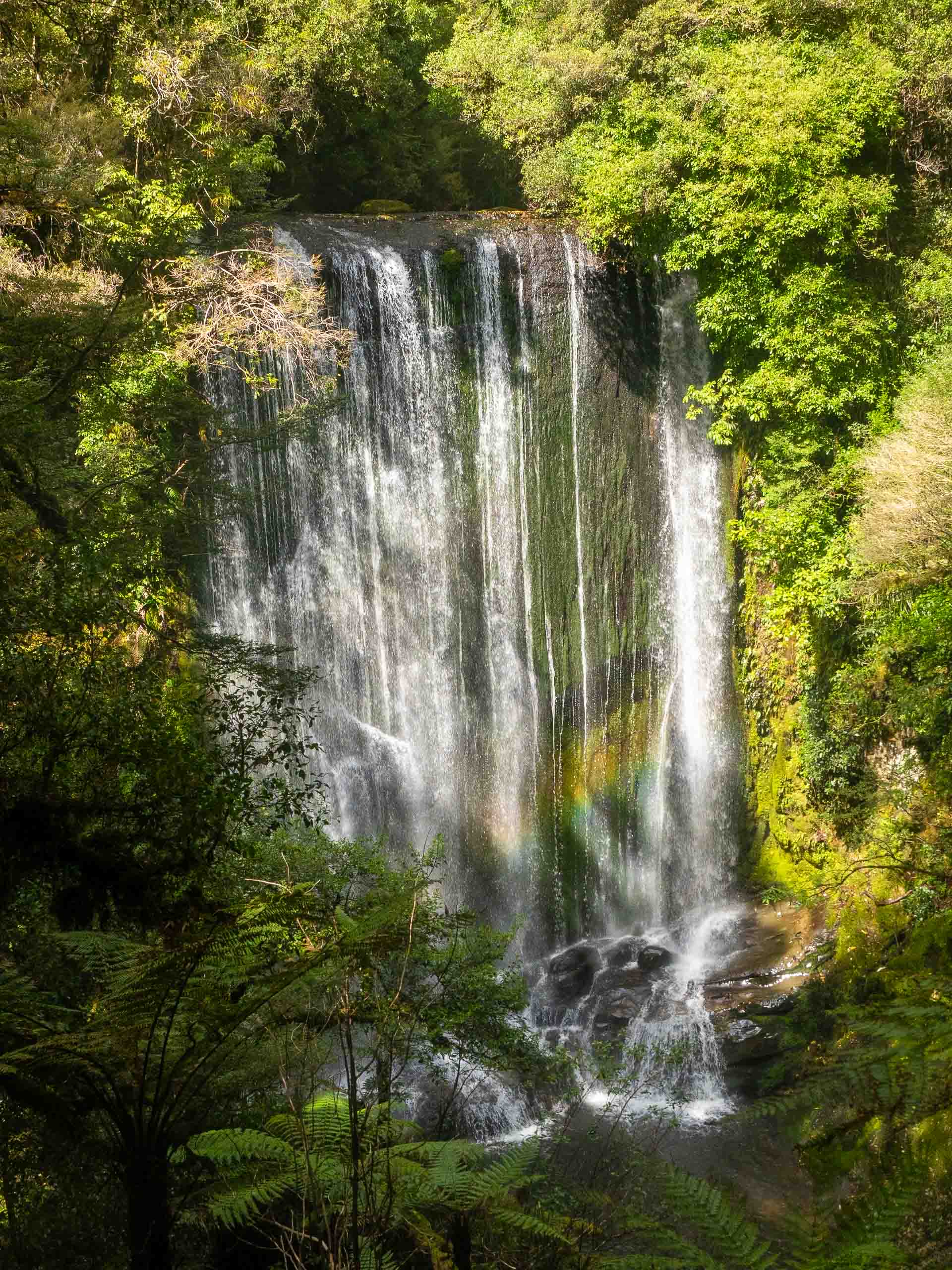 Korokoro Falls dropping through rainforest beside the Lake Waikaremoana Track