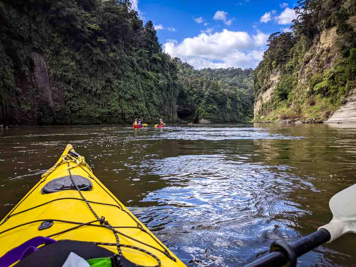 Yellow canoe paddling between forested cliffs on the Whanganui River Journey