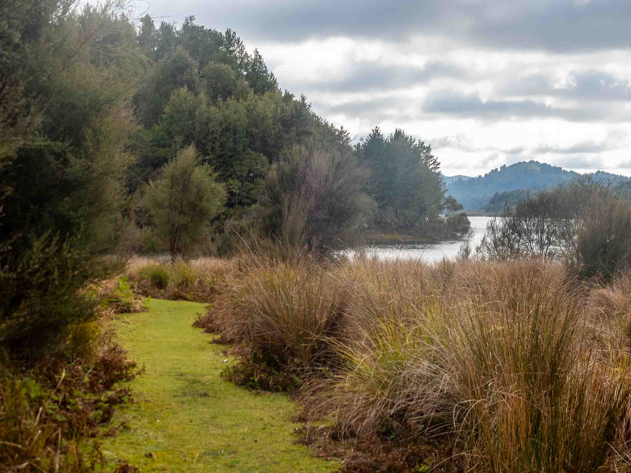 Narrow track crossing wetland beside Lake Waikaremoana