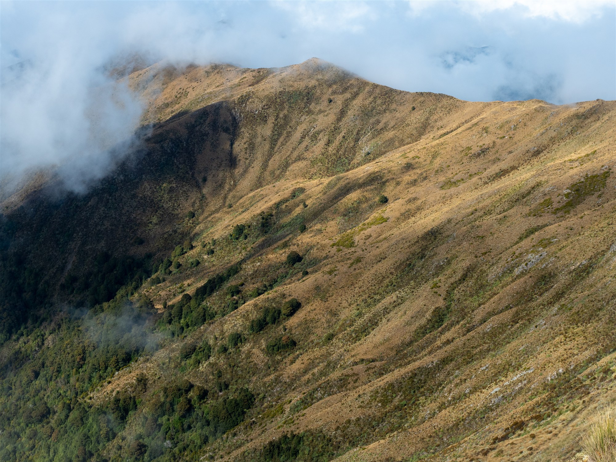 Cloud lifting from the exposed Paparoa Range