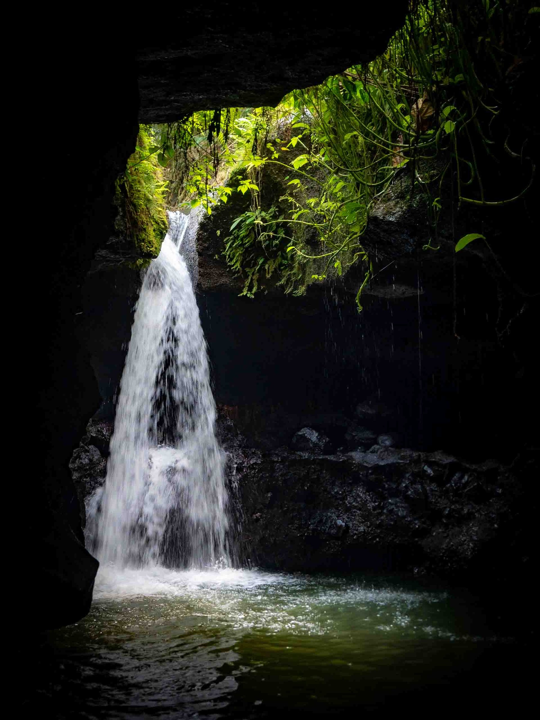 Sarang Walet waterfall inside a lush cave near Tetebatu in Lombok